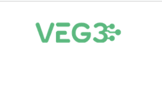 VEG3 logo