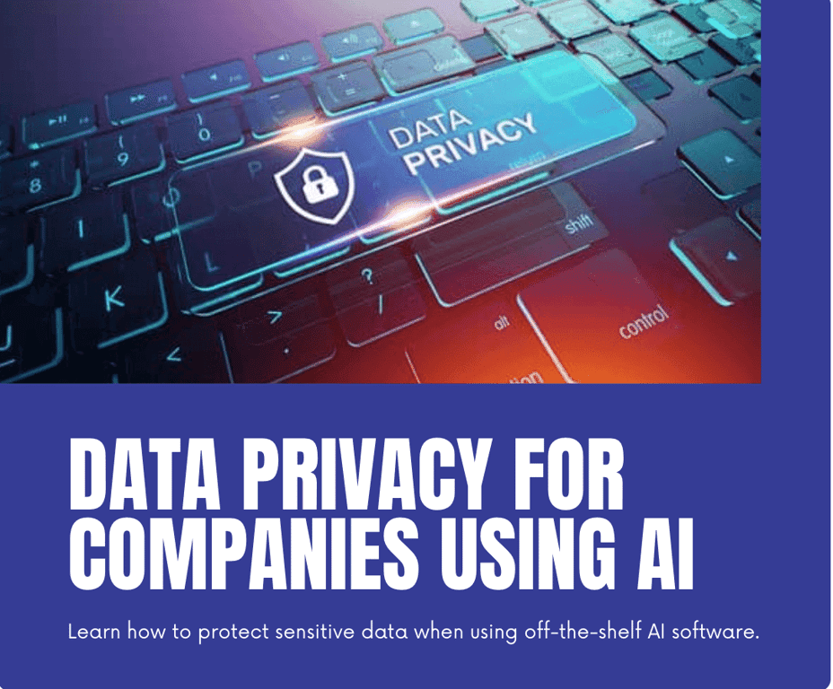 Navigating the Data Privacy Maze: A Guide for Companies Employing Off-the-Shelf AI Software