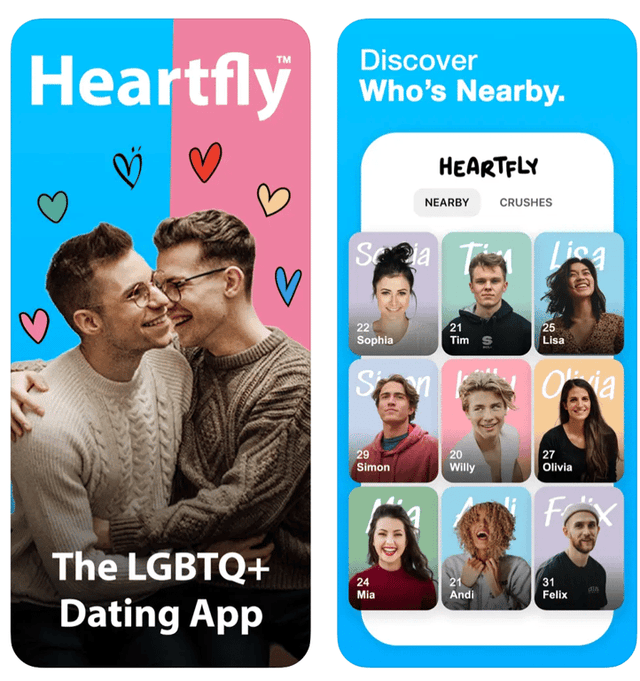 Heartfly screenshot 1