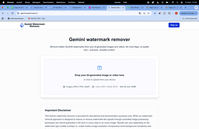 Geminiwatermark.io screenshot 1